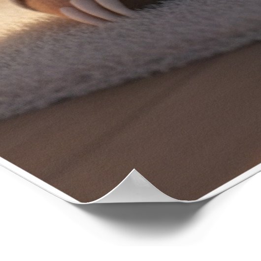 Cute Sleepy Sloth Pajamas Art Poster (Coin)