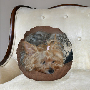 Cute Sleepy Yorkshire Terrier Yorkie Puppy Rond Kussen