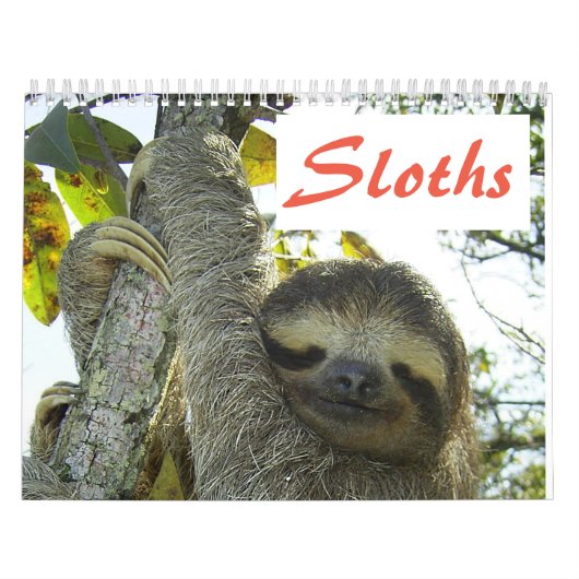 Cute Sloth-Afbeeldingen | Schattige foto's met sle Kalender (Hoes)