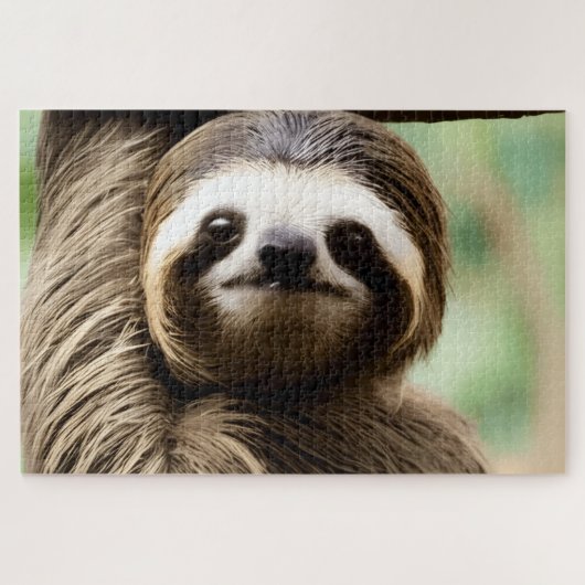 Cute sloth background legpuzzel (Horizontaal)