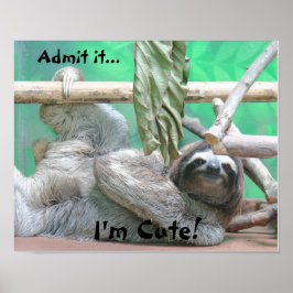 Cute Sloth. Poster
