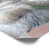 Cute Sloth. Poster (Hoek)