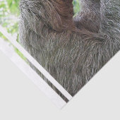 Cute Sloth Tissuepapier (Detail)