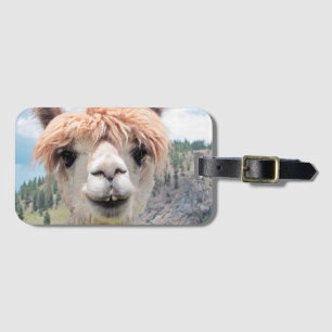 Cute Smiling Alpaca Photo Afbeelding Bagagelabel