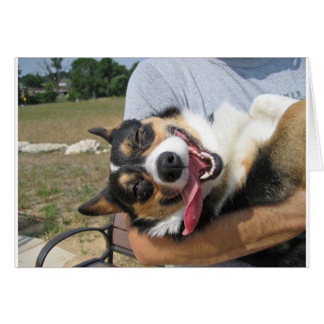 Cute Smiling Corgi Dog (Voorkant Horizontaal)
