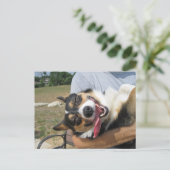 Cute Smiling Corgi Dog Briefkaart (Staand voorkant)