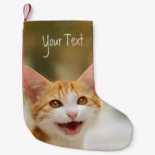 Cute Smiling Kitten Face Funny Cat Meow Foto Kleine Kerstsok