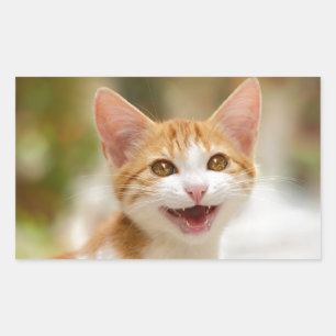 Cute Smiling Kitten Face Funny Cat Meow Foto Rechthoekige Sticker