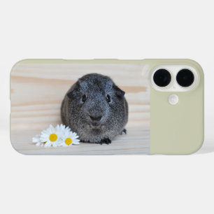 Cute Smooth, Silver Agouti Guinee Pig en Daisies iPhone 16 Hoesje