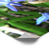 Cute snake poster (Hoek)