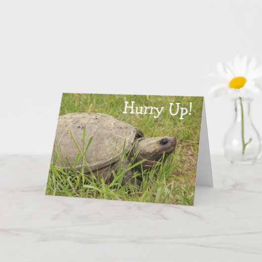 Cute Snapping Turtle get Well Kaart (Kleine Plant)