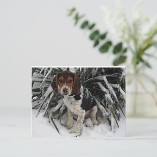 Cute Snoopy Beagle Puppy Dog in sneeuw Briefkaart (Staand voorkant)