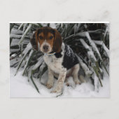 Cute Snoopy Beagle Puppy Dog in sneeuw Briefkaart (Voorkant)