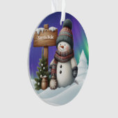 Cute snowman on North Pole with northern lights (devant)