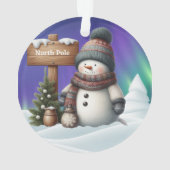 Cute snowman on North Pole with northern lights (dos)