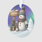 Cute snowman on North Pole with northern lights (devant)