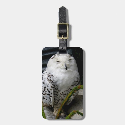 Cute Snowy Owl Bagagelabel (Voorkant verticaal)