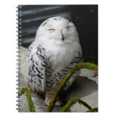 Cute Snowy Owl Notitieboek (Voorkant)