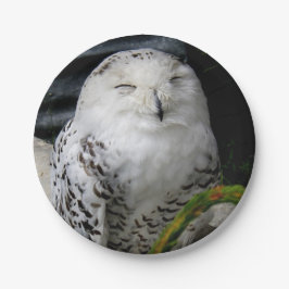 Cute Snowy Owl Papieren Bordje