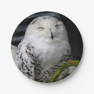 Cute Snowy Owl Papieren Bordje