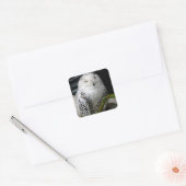 Cute Snowy Owl Vierkante Sticker (Envelop)