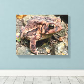 Cute Southern Toad Close-up Canvas Afdruk (Insitu (Houten vloer))