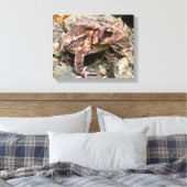 Cute Southern Toad Close-up Canvas Afdruk (Insitu (Slaapkamer))