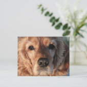 Cute Spaniel Briefkaart (Staand voorkant)