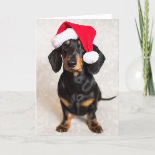 Cute Sparkle Dachshund Puppup met kerstPet Feestdagen Kaart