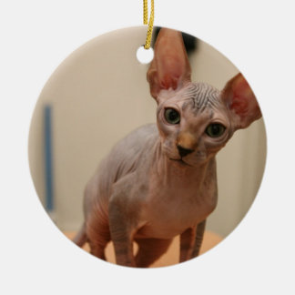 Cute sphynx kitten "Ik ben woedend, hè?" Keramisch Ornament