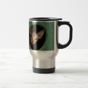 Cute sphynx kitten reisbeker