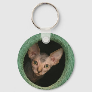 Cute sphynx kitten sleutelhanger