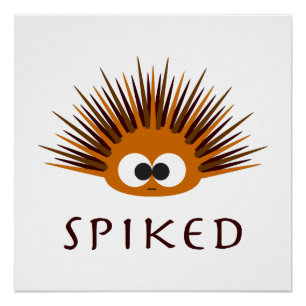 Cute Spiked Oranje Zee Urchin Perfect Poster