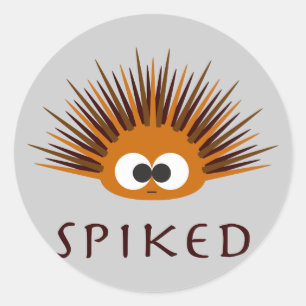 Cute Spiked Oranje Zee Urchin Ronde Sticker