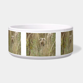 Cute Spotty Pig Dog Bowl Voerbakje