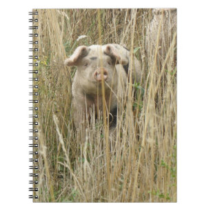 Cute Spotty Pig Notitieboek