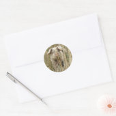 Cute Spotty Pig Sticker (Envelop)