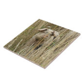 Cute Spotty Pig Tile Tegeltje (Zijkant)