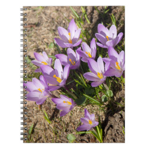 Cute spring crocuses notitieboek