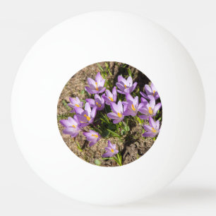 Cute spring crocuses pingpongballen