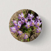 Cute spring crocuses ronde button 3,2 cm (Voorkant)