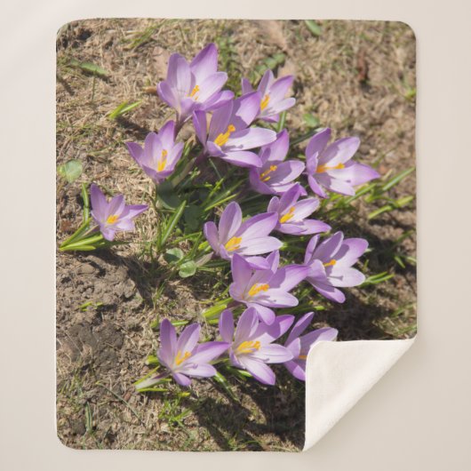 Cute spring crocuses sherpa deken (Voorkant)