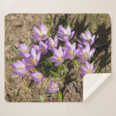 Cute spring crocuses sherpa deken (Voorkant (horizontaal))