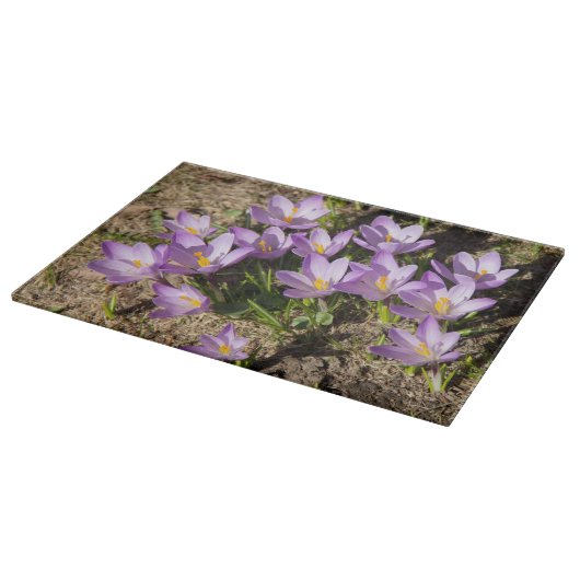 Cute spring crocuses snijplank (Hoek)