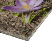 Cute spring crocuses snijplank (Hoek)