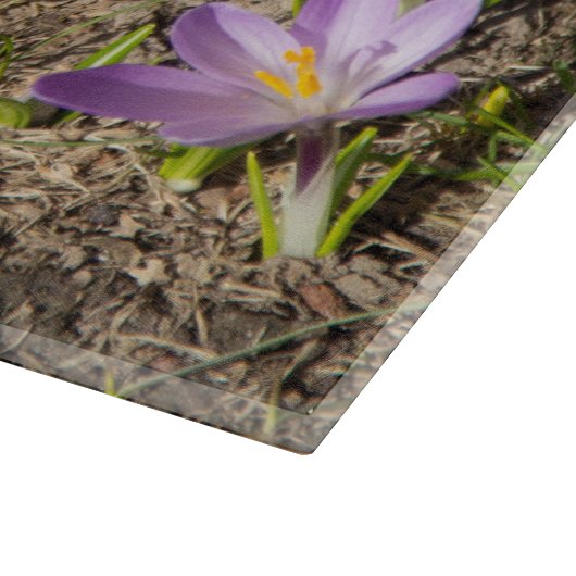 Cute spring crocuses snijplank (Hoek)