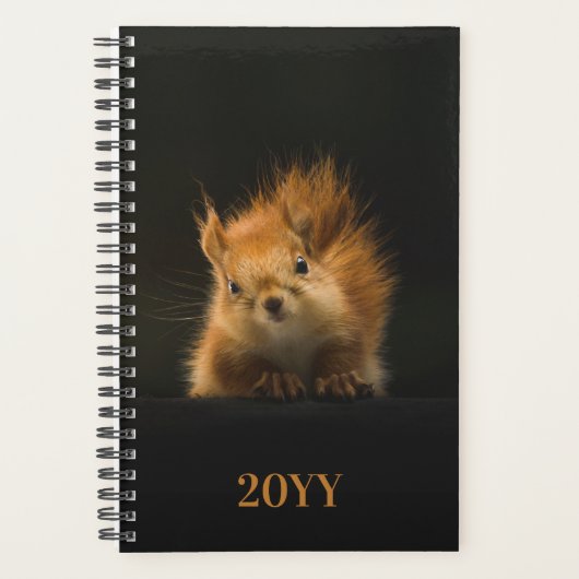 Cute Squirrel 2019 (Devant)