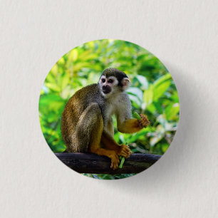 Cute squirrel aap ronde button 3,2 cm