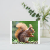 Cute Squirrel Afbeelding Briefkaart (Staand voorkant)