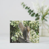 Cute Squirrel Briefkaart (Staand voorkant)
